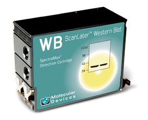 ScanLater Western Blot 檢測系統(tǒng) ScanLater Western Blot 檢測系統(tǒng)
