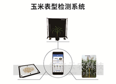 玉米表型檢測系統(tǒng)-玉米表型檢測儀