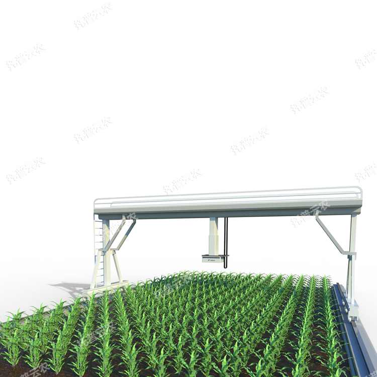 田間高通量植物表型成像系統(tǒng)-植物表型平臺(tái)