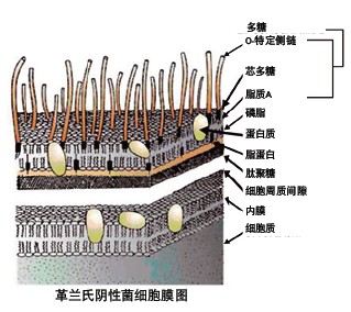 PURELAB flex^(gu)V(ni)RNaseDNaseͼ(x)