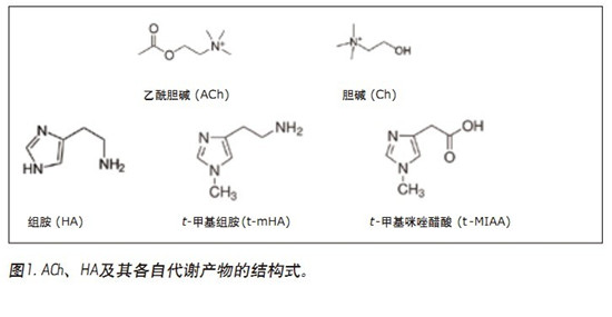 CORTECS UPLC HILICɫV_l(f)һN܉?q)XҺ(CSF)đAMxa(chn)ͬrM(jn)жUPLC/MS/MSy