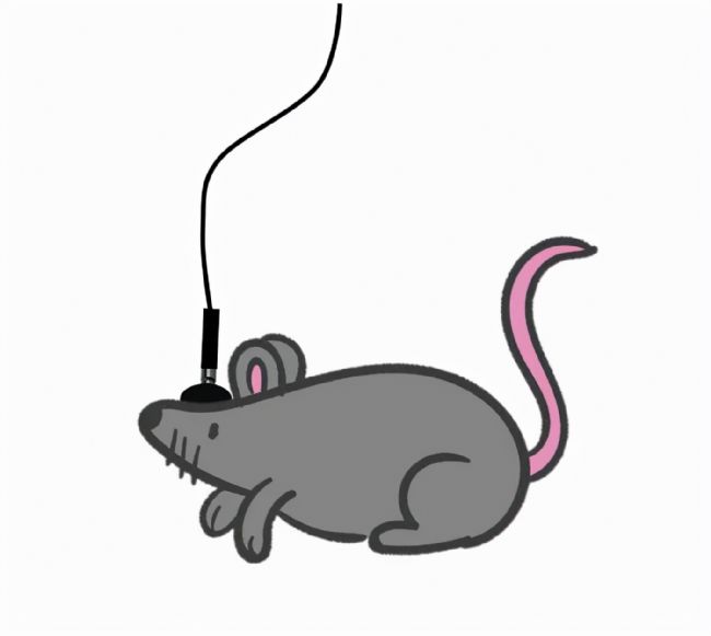 xwӛ䛌ĺĲ_Чʵ̖ݔ