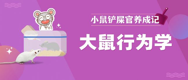 ОW(xu)