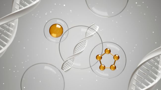 Lipid Acһ֬ڽY(ji)(gu)ʲôe