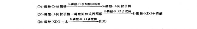 KDOĺϳɰBm(x)(yng)