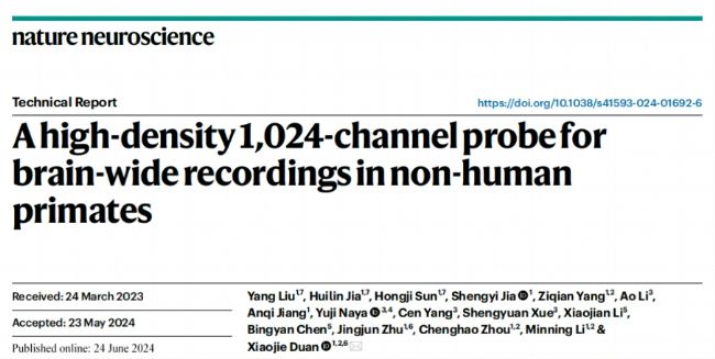 NatureӿBrainsight܄g(sh)C(j)ˎƌW(xu)Ҍ(sh)F(xin)JȫX(jng)ӱO(jin)y