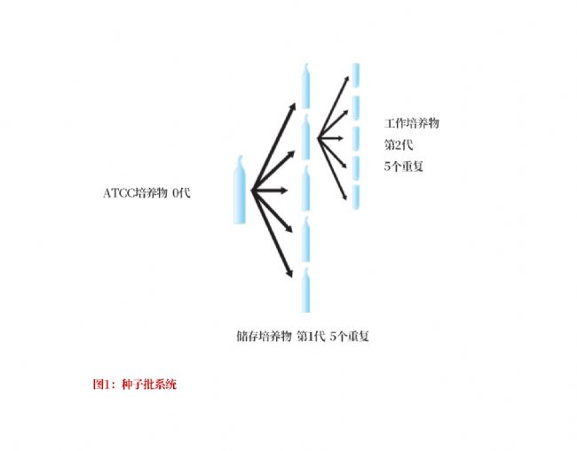 文字文稿2_01(1).png