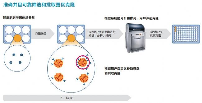 細胞克隆篩選系統(tǒng)