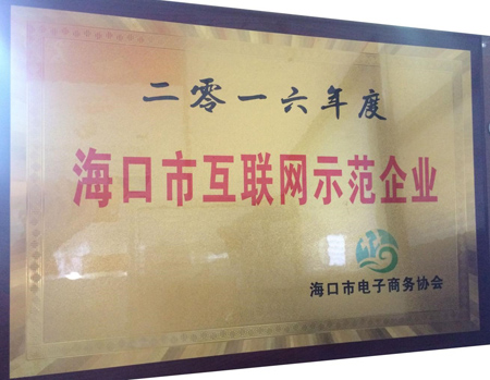 海南馬良師傅喜獲海口市互聯(lián)網(wǎng)示范企業(yè)稱號
